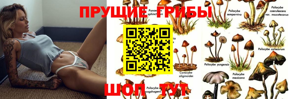 Бердск  Псилоцибиновые грибы мухоморы  Вход с VPN 