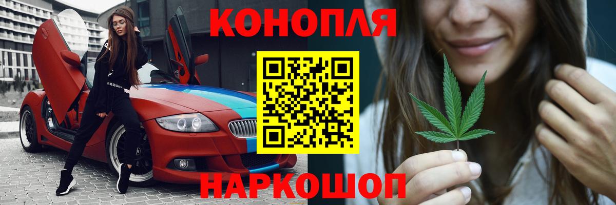Каннабис индика Бердск